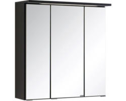 LED-Spiegelschrank Held Möbel 3-türig 60x66 cm dunkelgrau 009.1.0042