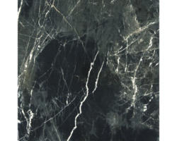 Feinsteinzeug Bodenfliese Premium Marble 60,0x60,0 cm anthrazit glänzend rektifiziert