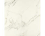 Hornbach Feinsteinzeug Bodenfliese Premium Marble 80,0x80,0 cm weiß glänzend