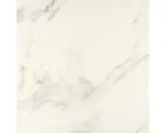 Hornbach Feinsteinzeug Bodenfliese Premium Marble 80,0x80,0 cm weiß glänzend