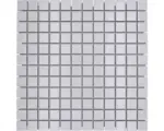Hornbach Keramikmosaik Quadrat CG 114 30,0x30,0 cm weiß