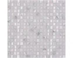 Glasmosaik mit Naturstein XIC 1011 30,5x30,5 cm weiß