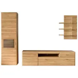 Wohnwand 300/206/52 cm in Eichefarben