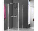 Hornbach Drehtür für Seitenwand Breuer Elana 800x2000 mm Anschlag links Echtglas Klar hell alunatur mit Bogengriff