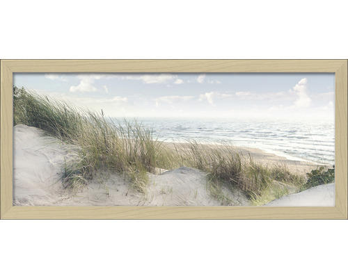 Wandbild Baltic Sea Coast 60x130 cm