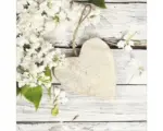 Hornbach Glasbild White Spring II 20x20 cm
