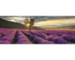 Hornbach Glasbild Silence 50x125 cm