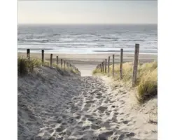 Glasbild Maritim Brand 50x50 cm