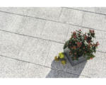 Hornbach Beton Terrassenplatte Cassana weiss 40 x 40 x 4 cm
