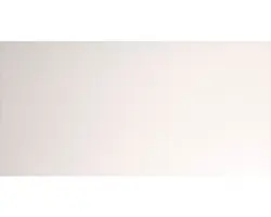 Steinzeug Wandfliese Alaska 30,0x60,0 cm weiß matt