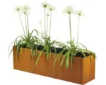 Hornbach Hochbeet klassisch bellissa pannello Bausatz ohne Boden 116 x 44 x 50 cm Cortenstahl