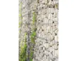 Hornbach Basisbausatz belissa Mauersystem limes 23 230 x 90 cm