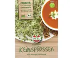 Hornbach Keimsprossen Sperli Bio-Brokkoletti, fein-würzig