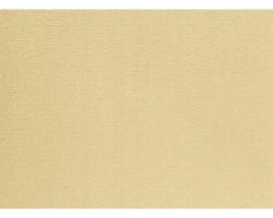 Teppichboden Velours Verona goldbeige 400 cm breit (Meterware)