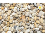 Hornbach Zierkies Flusskies 16-32 mm 10 kg bunt