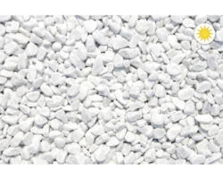 Zierkies Marmor 12-16 mm 10 kg Carrara-Weiß