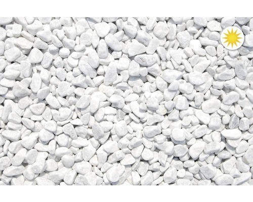 Zierkies Marmor 12-16 mm 10 kg Carrara-Weiß