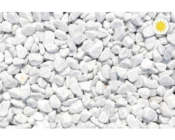 Zierkies Marmor 16-25 mm 10 kg Carrara-Weiß