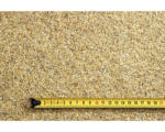 Hornbach Aquarienkies 1-2 mm 5 kg beige
