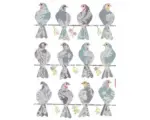 Hornbach Wandtattoo Doves 50x70 cm