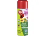 Hornbach Orchideen- & Zierpflanzenspray Protect Garden Lizetan 400 ml Reg.Nr. 3148-911