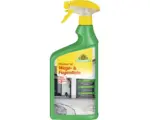 Hornbach Finalsan Neudorff Algenvernichter Wege- und FugenRein 1 L Anwendungsfertiges Pumpspray