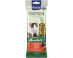 Hornbach Emotion® Kräcker® Fruit 2er Ratten