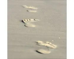 Glasbild Spuren im Sand 50x50 cm GLA011