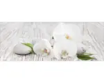 Hornbach Glasbild White Spring IV 30x80 cm GLA1064