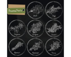 Glasbild Provencal Herbs 30x30 cm GLA1166