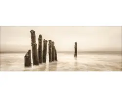 Glasbild Alone 50x125 cm GLA1216