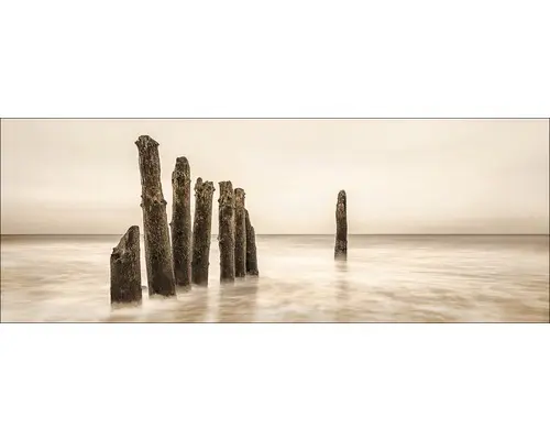 Glasbild Alone 50x125 cm GLA1216