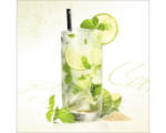 Hornbach Glasbild Mojito 50x50 cm GLA697