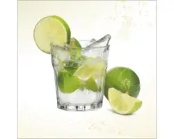 Glasbild Caipirinha 50x50 cm GLA698