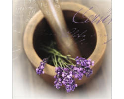 Glasbild Lovely Lavender I 50x50 cm