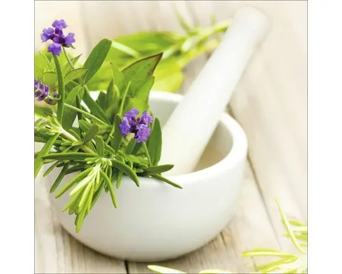 Glasbild Lovely Lavender IV 20x20 cm GLA731