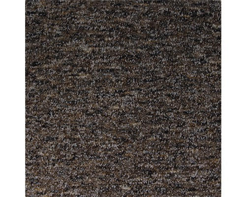 Teppichboden Schlinge Safia dunkelbeige 500 cm breit (Meterware)