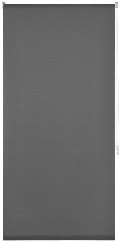 Klemmrollo Daylight in Grau ca. 75x150cm