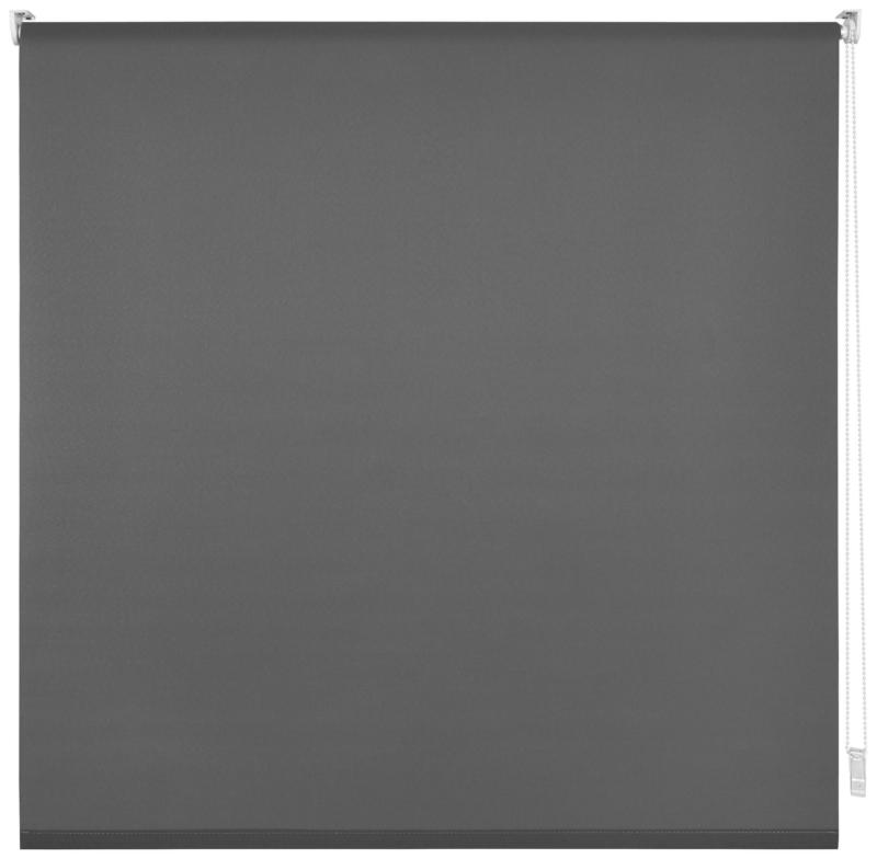 Klemmrollo Daylight in Grau ca. 45x150cm
