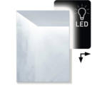 Hornbach LED-Lichtspiegel Amirro Ambiente 70x50 cm