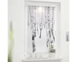 Klemmrollo Lichtblick ohne Bohren Birkenwald weiß 80x150 cm inkl. Klemmträger