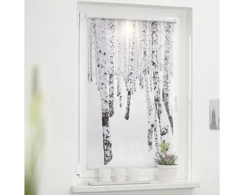 Klemmrollo Lichtblick ohne Bohren Birkenwald weiß 80x150 cm inkl. Klemmträger