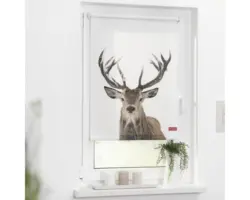 Klemmrollo Lichtblick ohne Bohren Hirsch weiß 80x150 cm inkl. Klemmträger