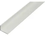 Hornbach Winkelprofil Aluminium silber geschliffen 40 x 20 x 2 mm 2,0 mm , 1 m