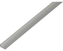 Winkelprofil Aluminium silber 19 x 8 x 1,6 mm 1,6 mm , 2 m