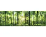 Hornbach Leinwandbild Fresh Green 150x50 cm