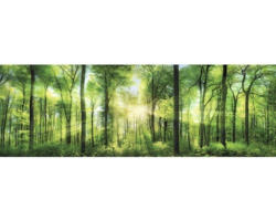 Leinwandbild Fresh Green 150x50 cm