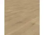 Hornbach SKANDOR Laminatboden 8.0 Sheer Oak