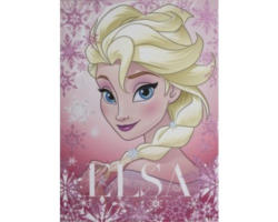 Leinwandbild Disney Elsa vereist 50x70 cm