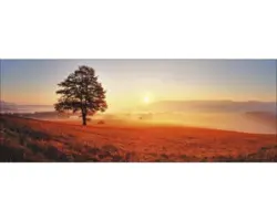 Glasbild Lonely Tree 30x80 cm GLA1301